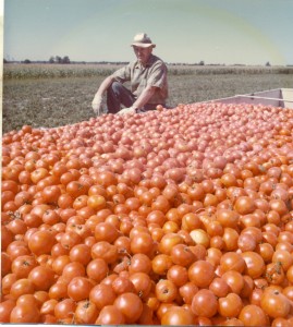 Abram Jacob Epp sitting with load of tomatoes