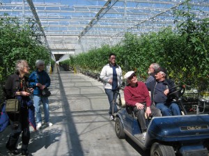 Taking a tour of Enns Plant Farm in Leamington