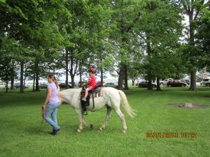 Pony Rides