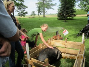 Petting Zoo