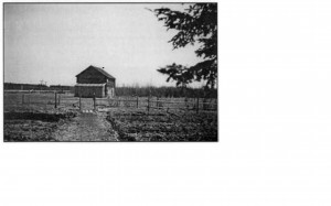 Log Church John Wiens