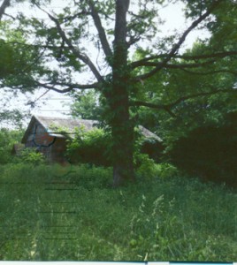 More distant View Of House