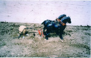 Potato Digging In Saskatchewan