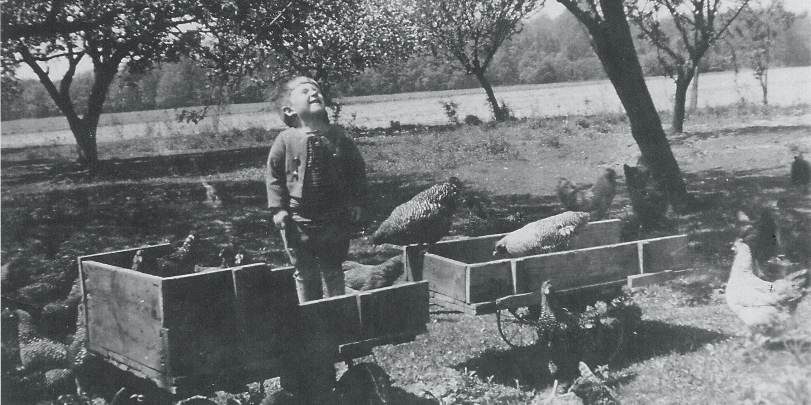 Young Peter Williams standing in his wagon, smiling at the sky, surrounded by chickens on the ground