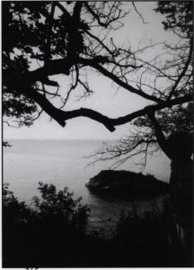 A large rock in the water, just offshore. The viewer looks out from behind branches and bushes.