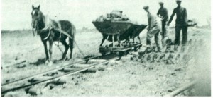 Horse and Wheelbarrow