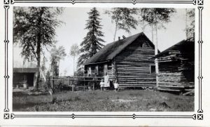 Black and white photograph of the side view of a log cabin in front of a few pine trees