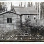 Black and white photograph of a log cabin in front of a forest of pine trees