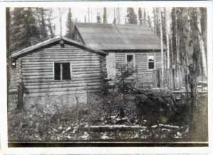 Black and white photograph of a log cabin in front of a forest of pine trees